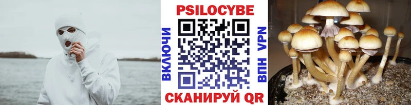 Псилоцибиновые грибы мухоморы  Голицыно 